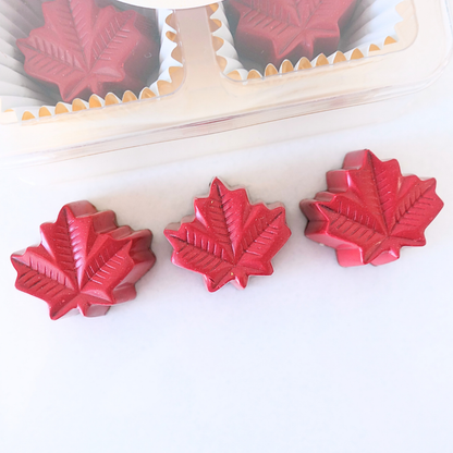 Box of 4 Maple Leaf Truffle