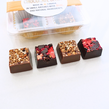 Box of 4 Chocolate Bites
